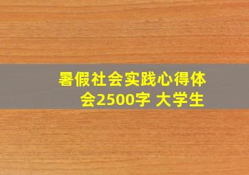 暑假社会实践心得体会2500字 大学生